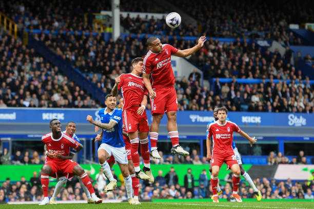 公司成为了 公司成为了