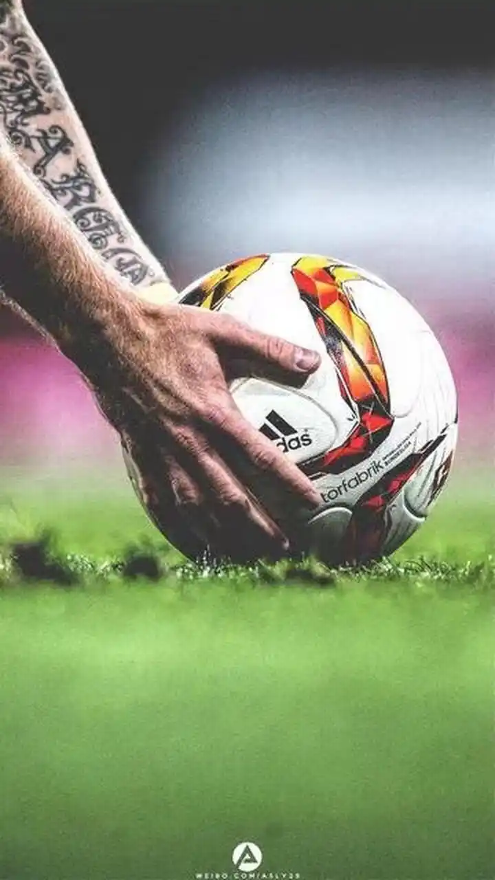 分在新秀历 分在新秀历